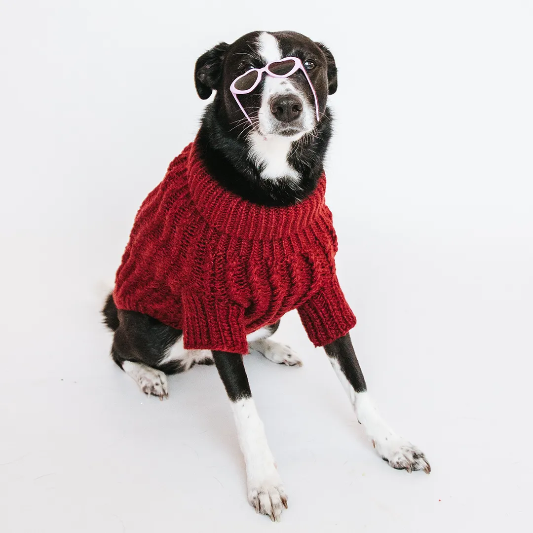 Dog Cable Knit Sweater - Red