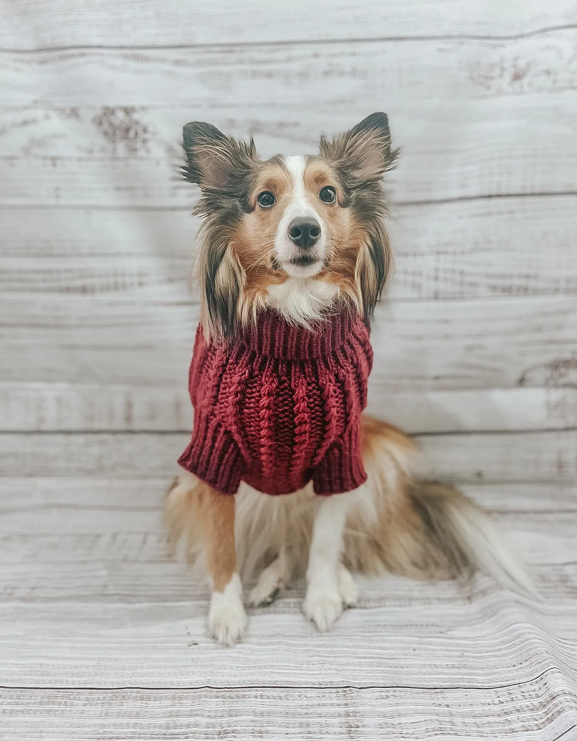 Dog Cable Knit Sweater - Red