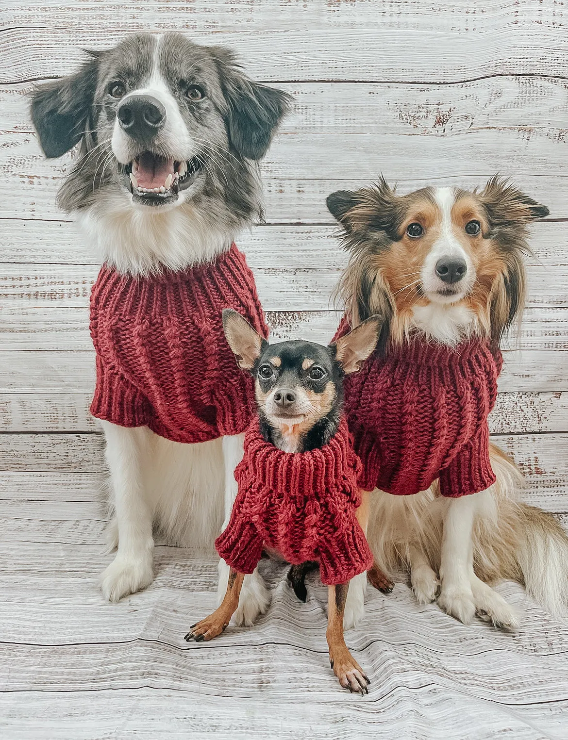 Dog Cable Knit Sweater - Red