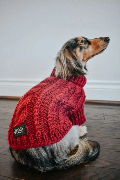 Dog Cable Knit Sweater - Red