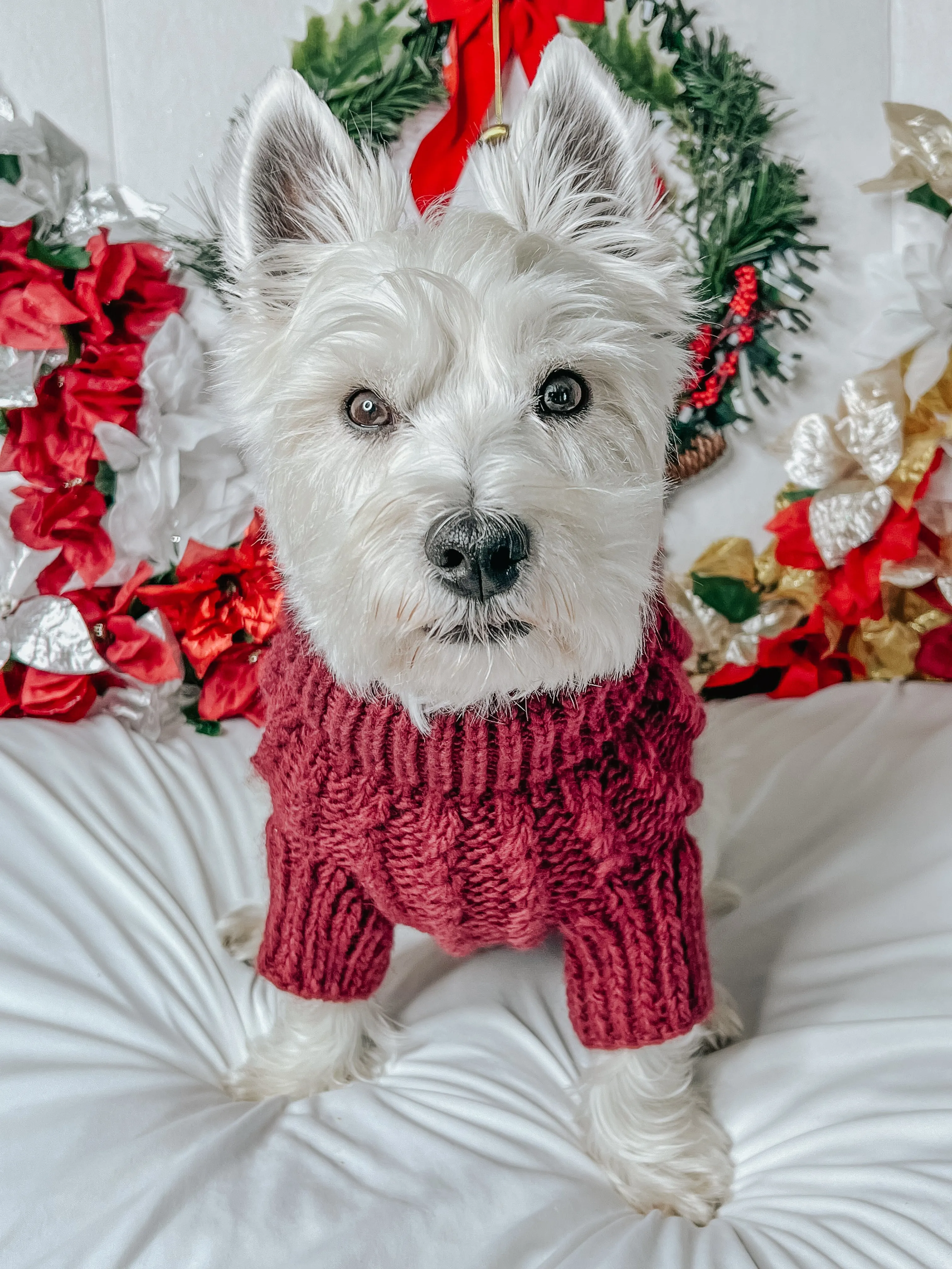 Dog Cable Knit Sweater - Red