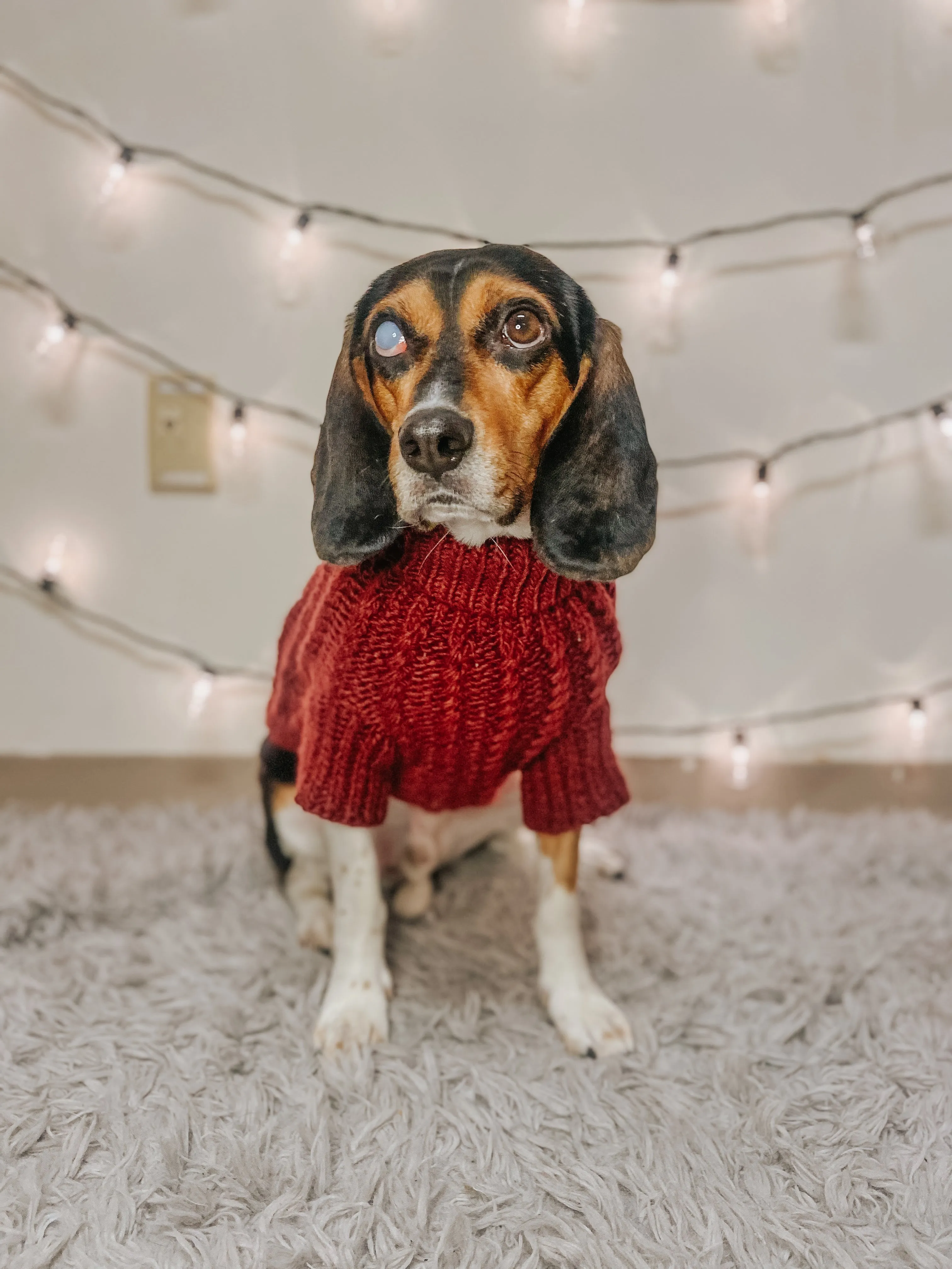 Dog Cable Knit Sweater - Red