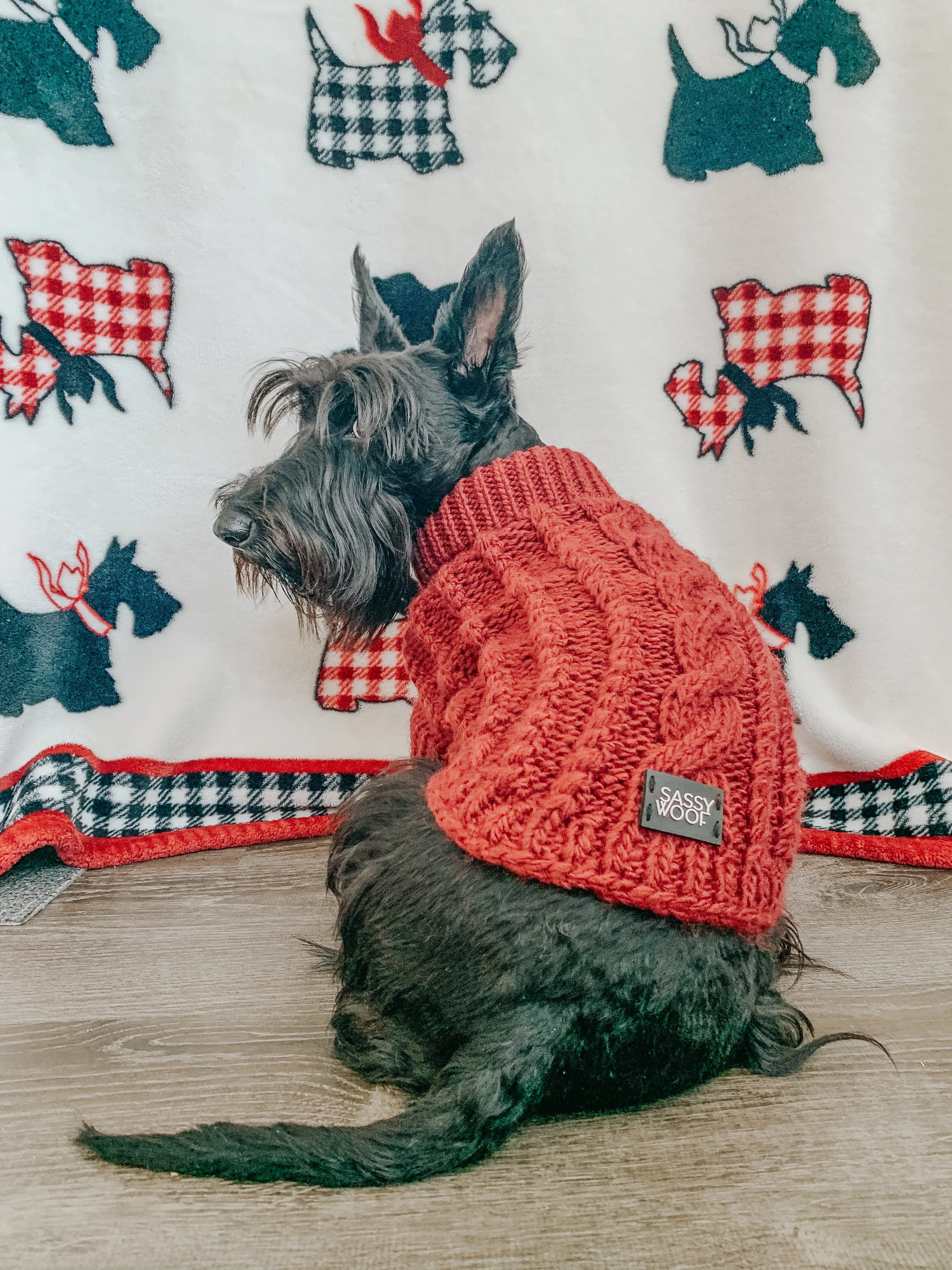 Dog Cable Knit Sweater - Red