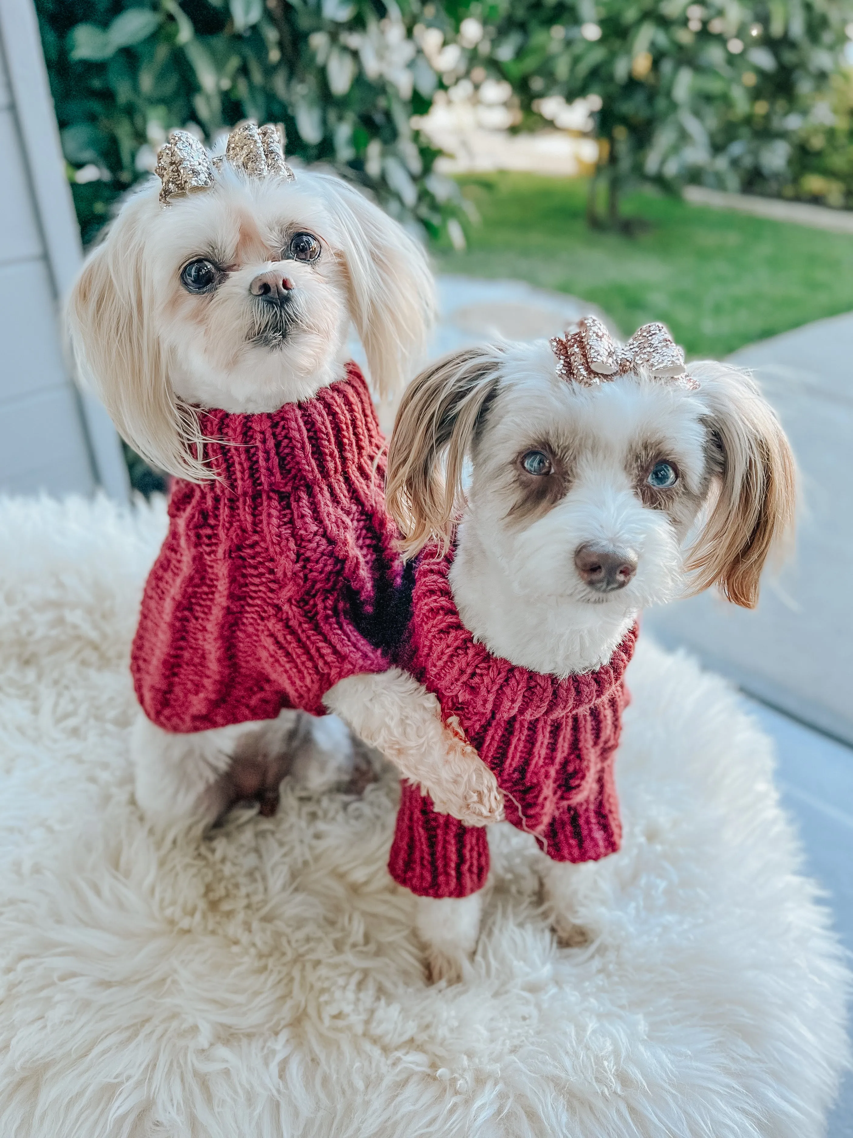 Dog Cable Knit Sweater - Red