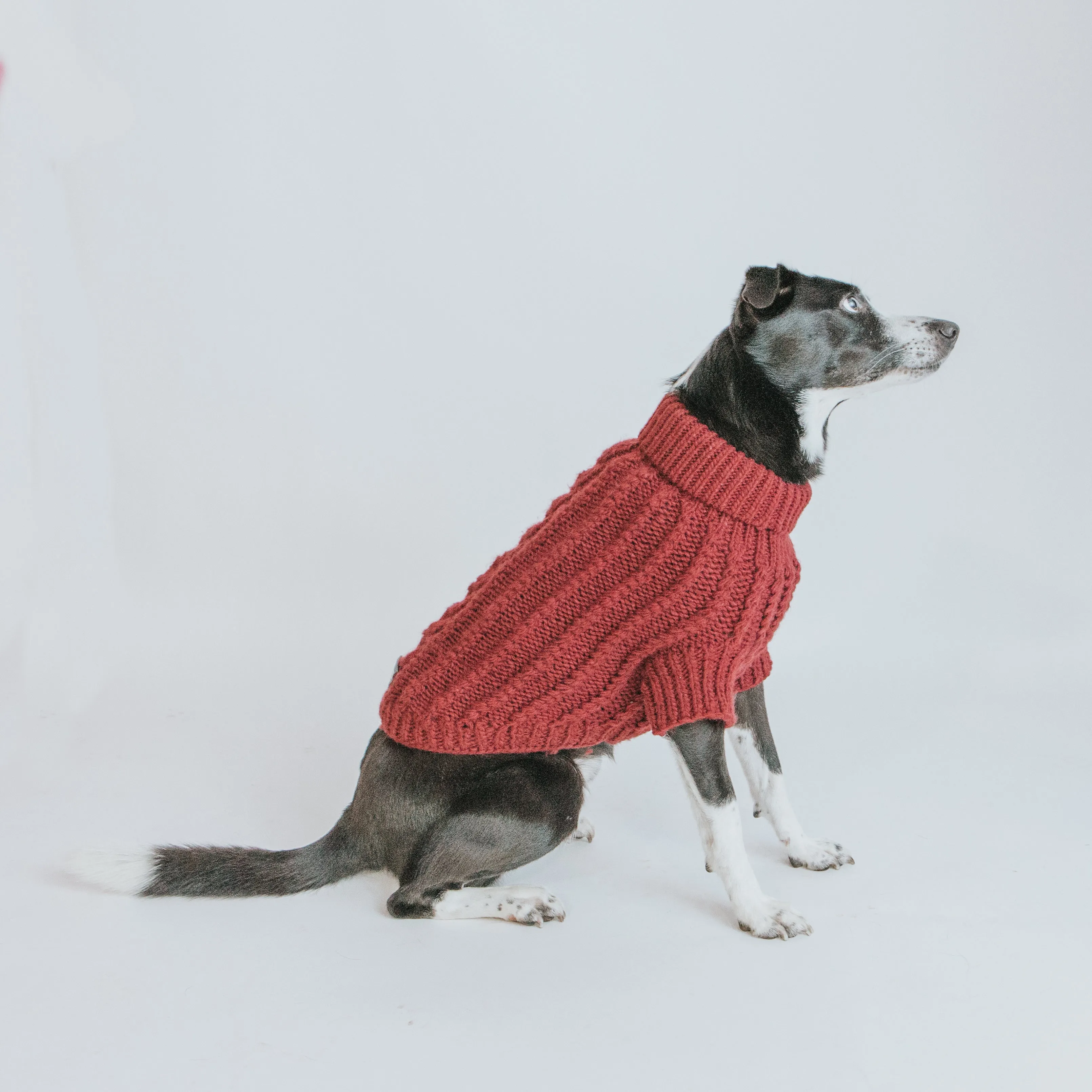 Dog Cable Knit Sweater - Red