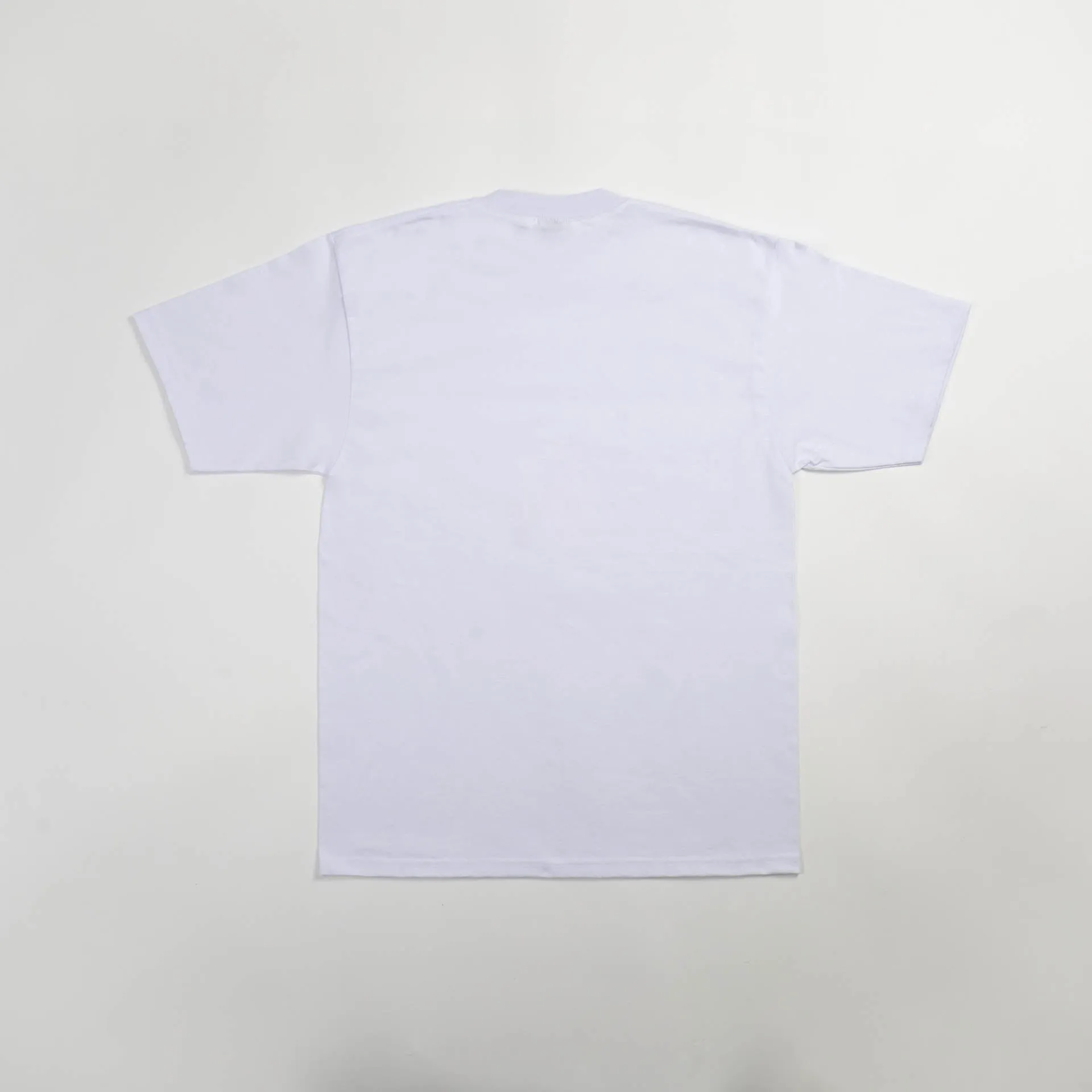 Heavyweight Blank T-Shirt (White)